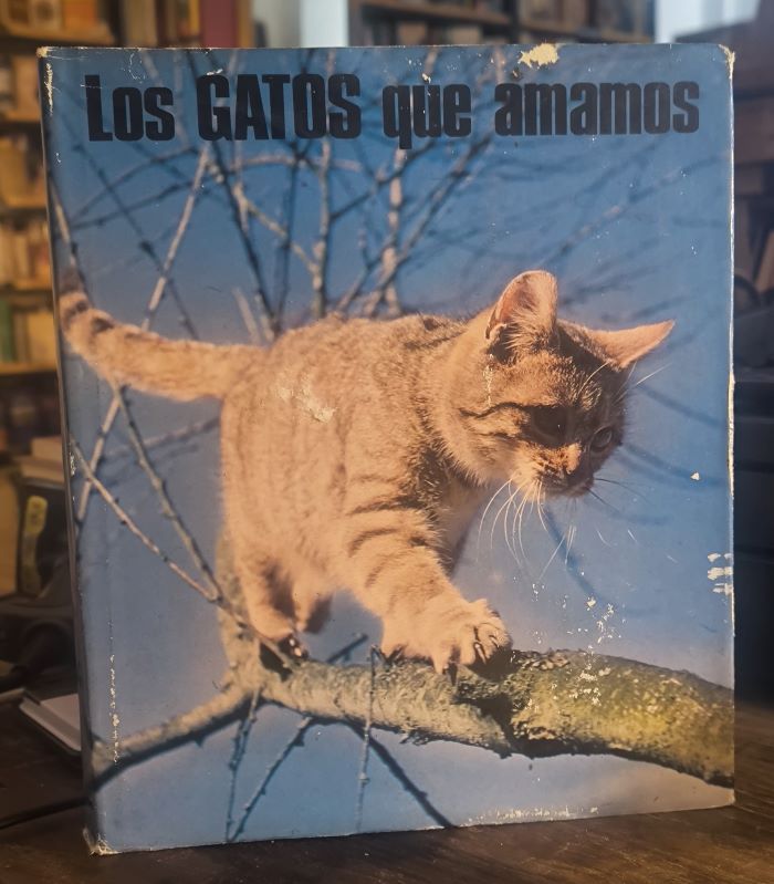 Fotografía 1