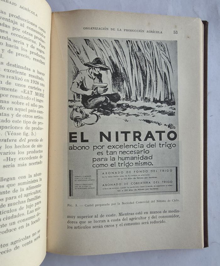 Fotografía 2