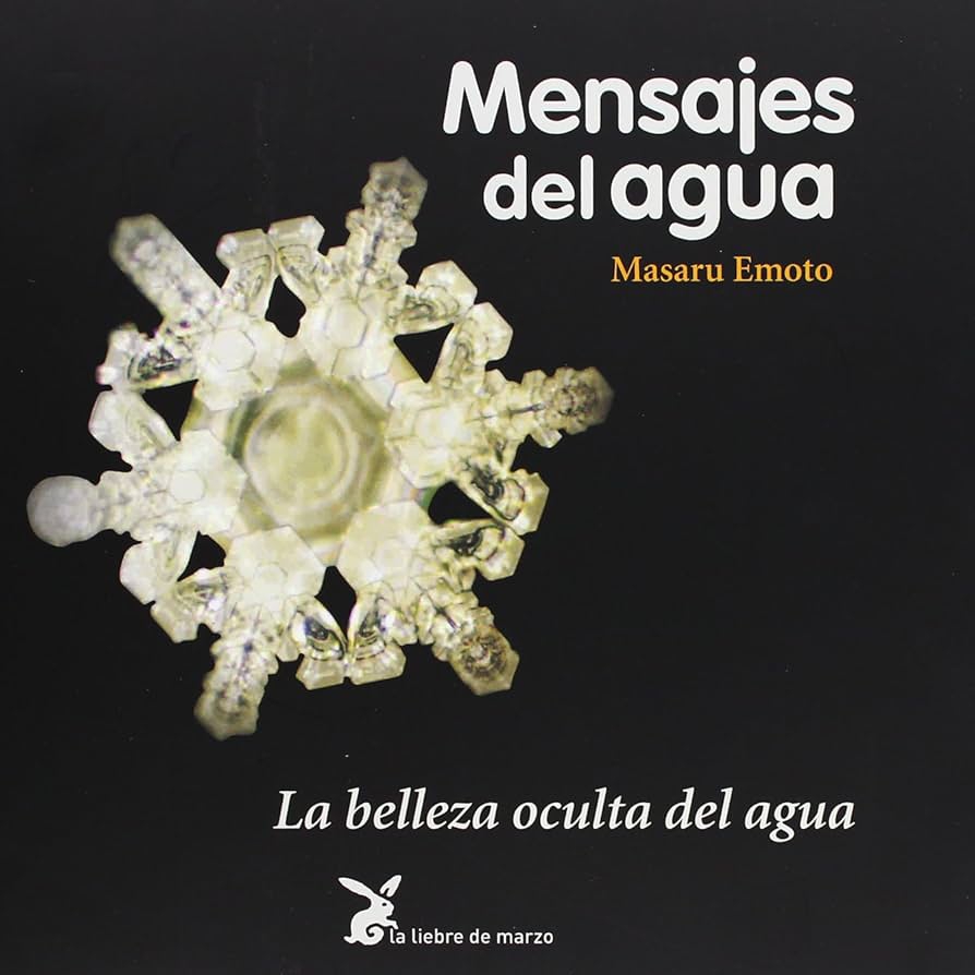 Fotografía 1