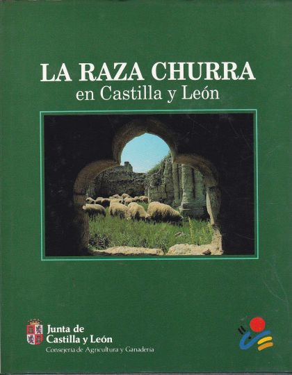 Fotografía 1