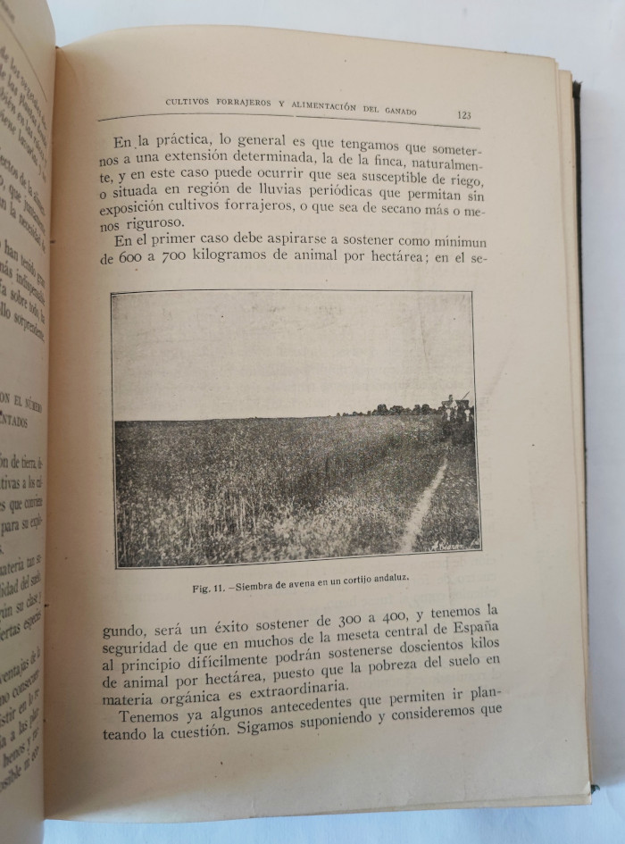 Fotografía 2